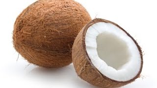 Amazing Facts of Faith — The Coconut