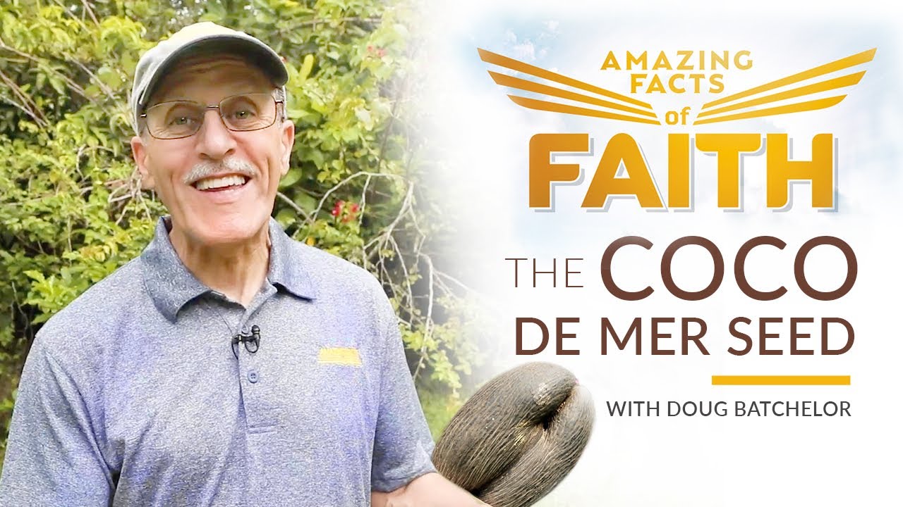 Amazing Facts of Faith: “The COCO DE MER SEED”