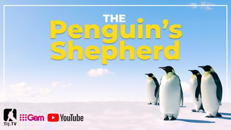 The Penguin’s Shepherd