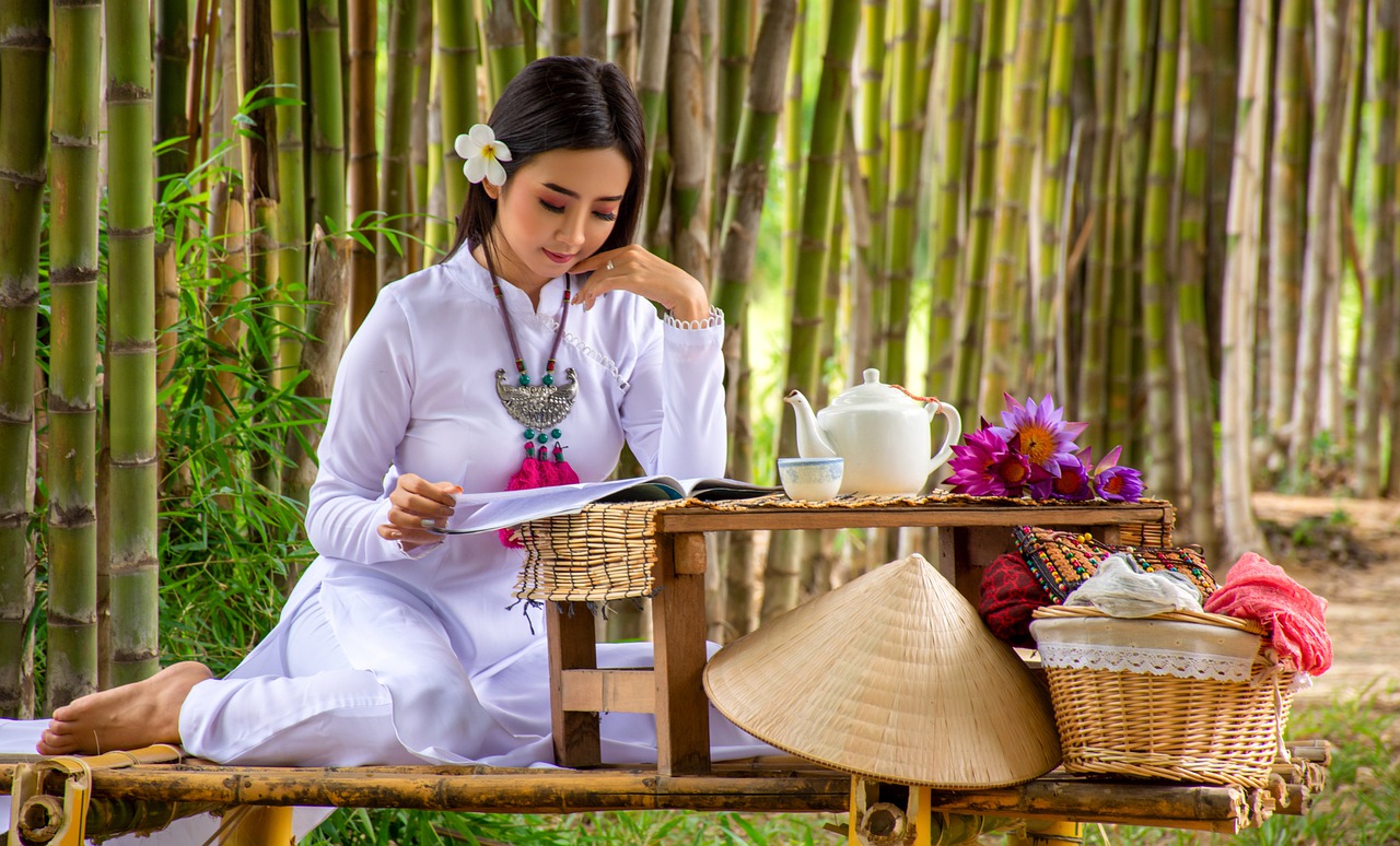 Myanmar Woman Picnic Bamboo Nature  - AKQBurma / Pixabay