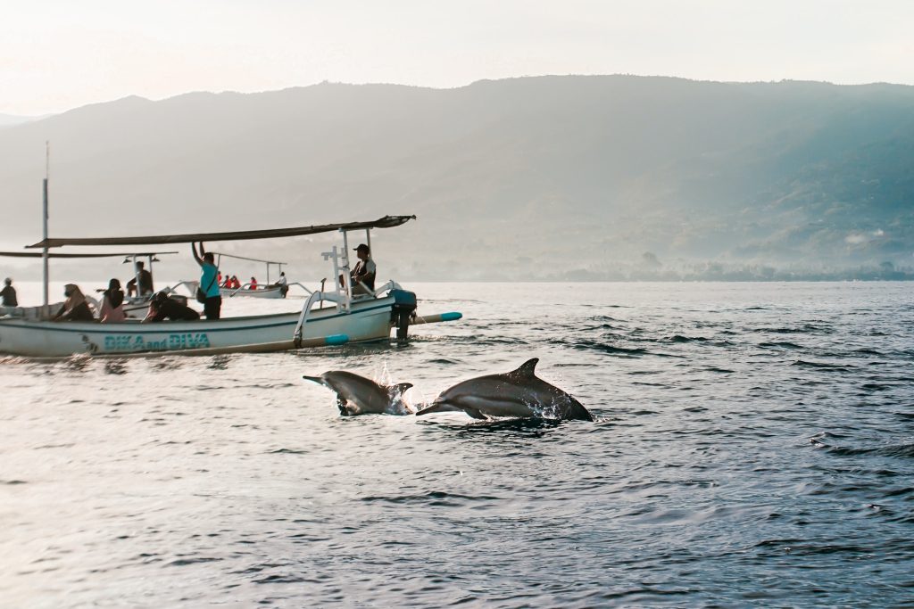 people riding on boat during daytime