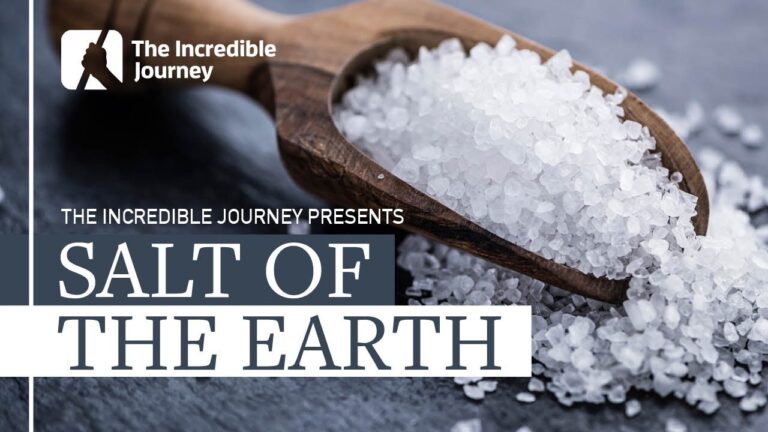 The Historical Importance of Salt and How it Shaped Civilisations