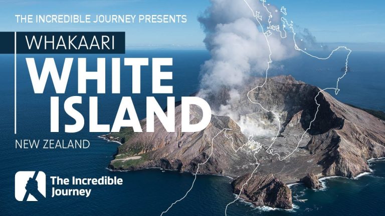 Surviving a Volcanic Eruption: Whakaari / White Island