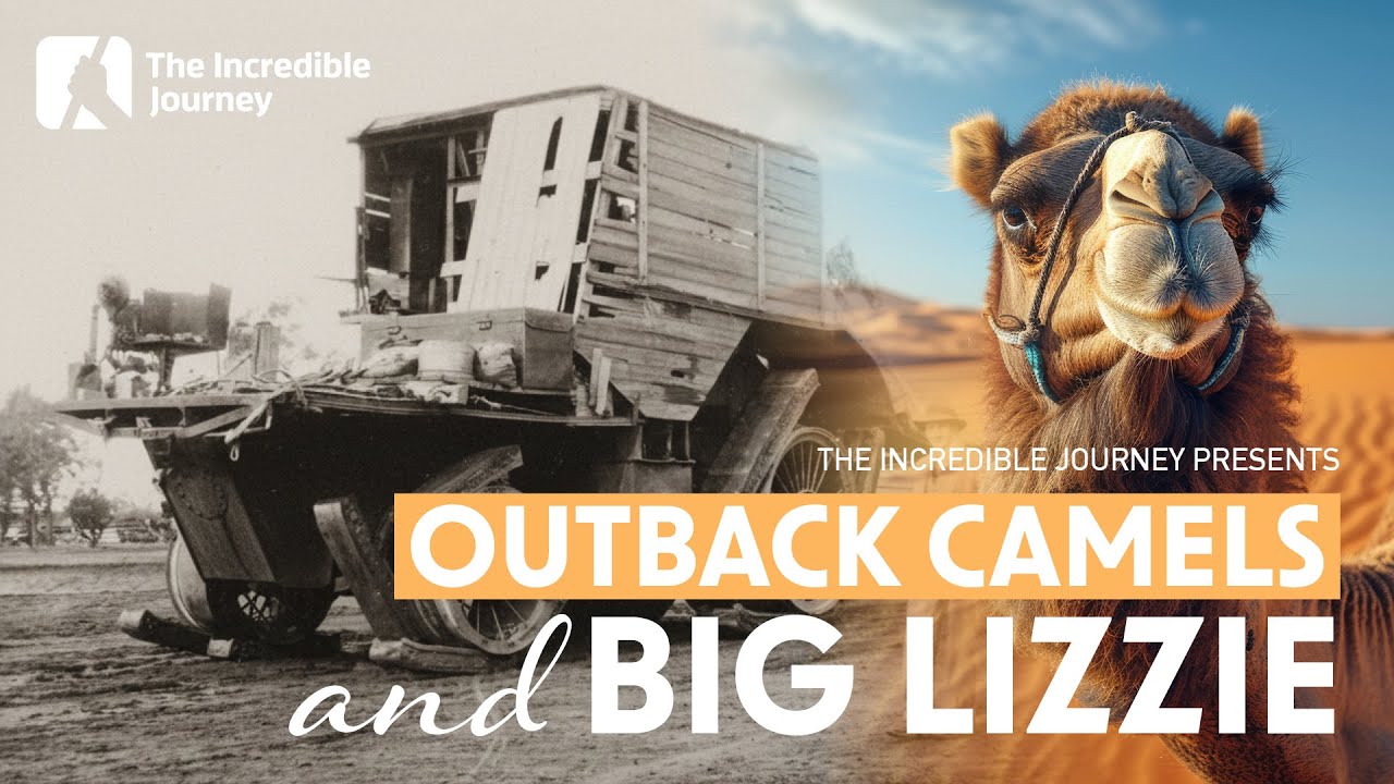 From Desert Camels to Giant Machines – Frank Bottrill’s “Big Lizzie”